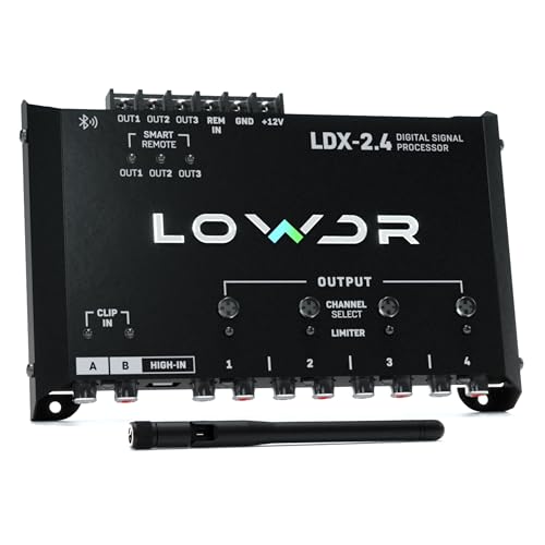 LOWDR LDX 2.4 DSP