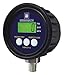 Digital Pressure Gauge, 0to5000psi, MG1-9V