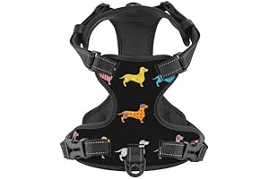 dachshund dog harness for walking and no-pulling