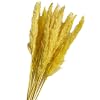 15 Stks Droogbloemen Pampas Gras Gedroogde Bloemen Natuurlijke Gedroogde Pampas Grassen Rietgras Bloem Phragmites Boeket…