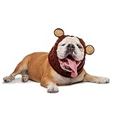 Zoo Snoods Grizzly Bear Dog Costume - Neck and Ear Warmer Headband for Pets (Large)