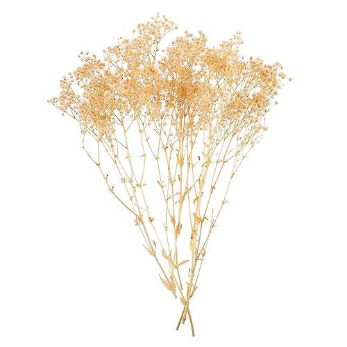 Ramo de flores secas Cabilock Babysbreath blanco