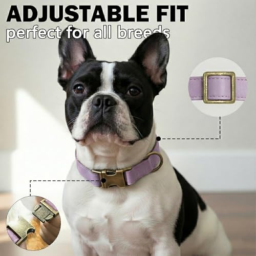 Image of B&F Dog Collar for Medium Dogs Silicone Leather Dog Collars Soft Flexible Waterproof Odor-Proof Durable Thick Classic Adjustable Pet Puppy Collar (Purple, Medium (12.5-20 inch Neck))