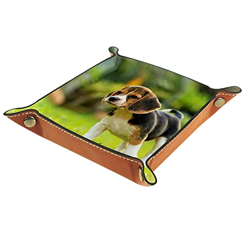 U[gC [ PUv ANZT[ v  w R y X}[gtH [M ` ܂ݎ 16x16cm(ȃr[OjOK[fnbs[)