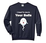 I Used To Live in Your Balls Funny, Silly Father's day Comfort Colors Adult Sweatshirt
