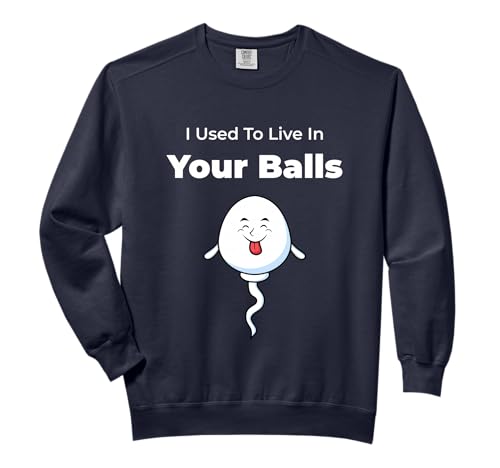 I Used To Live in Your Balls Funny, Silly Father's day Comfort Colors Adult Sweatshirt