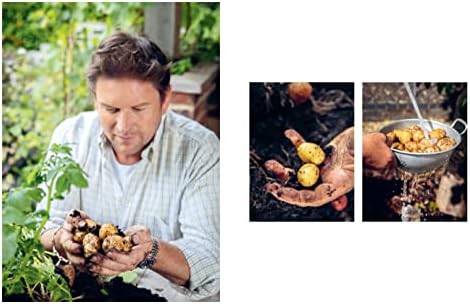 Potato: Baked, Mashed, Roast, Fried - Over 100 Recipes Celebrating Potatoes
