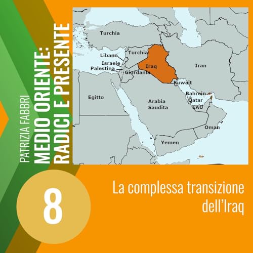 8. La complessa transizione dell'Iraq
