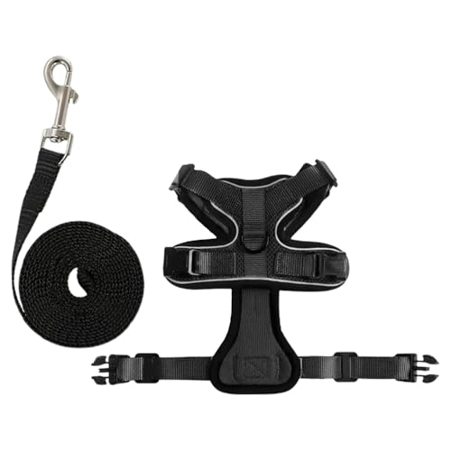 COLLBATH Lpn[lXF^A^A^p̃GbZVhbOn[lXAȂybgxXgAUg[jOɕ֗AubNATCYM