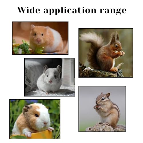 PINVNBY Plataforma de gaiola de rato, rede de furão de metal, acessórios de gaiola de chinchila e ha