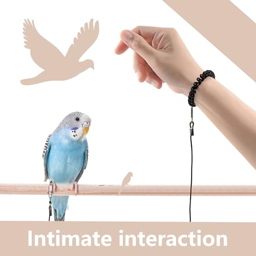 Hayaww Vogelleine, Papageiengeschirr, Papageiengeschirr, Haustier-, Vogelaktivitätsleine, verstellbares Flugtrainingsseil, 6 m (B)