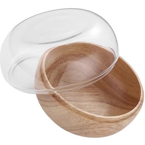 MUSISALY @\fU[gg[ Wtt[c{E Lb`pi XibN[e ȃXC[ctM