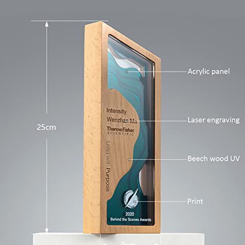 Prêmio Personalizado de Madeira/Troféu Troféu Taça Troféu Acrílico ou Troféu Vencedores Conteúdo de