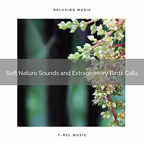 Enjoy Life, Gain Relax Nature Sounds for Total Relax