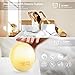 Smart Wake-Up Light, Alarm Clock 8 Colored Sunrise Simulation & Sleep Aid, Dual Alarm Clock with FM Radio, Compatiable with Alexa and Google Home
