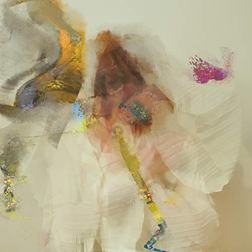Album Art for Head Of Roses by Flock of Dimes