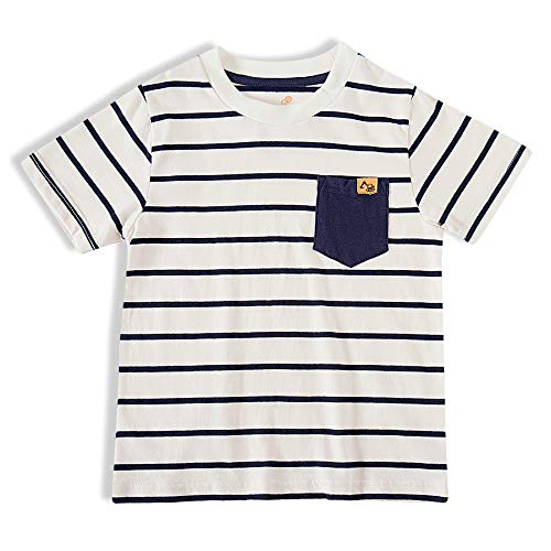 Camiseta Manga Curta Malha Listrada, Tip Top, Toddler Menino, Neve, 3T