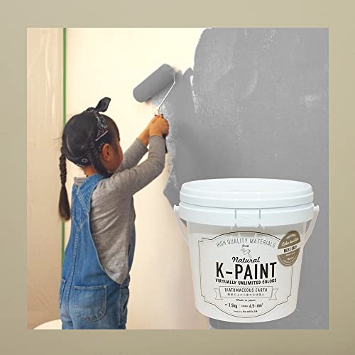 EB K-PAINT 1.5kg XO[ ]y h DIY tH[ PC\E {