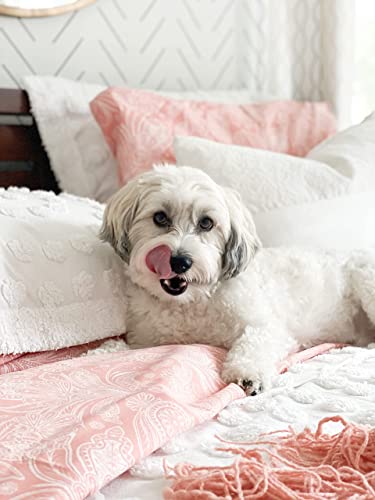 Southshore Fine Linens Perfect Paisley Collection - Premium Quality, Soft, Wrinkle, Fade, & Stain Resistant, Easy Care, Oversized Duvet Cover Set, Full / Queen, Coral Haze #TOP6