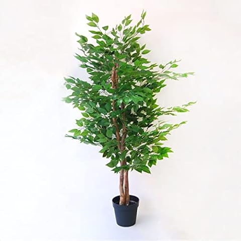 BLAINE Planta Artificial con Productos Naturales Cover