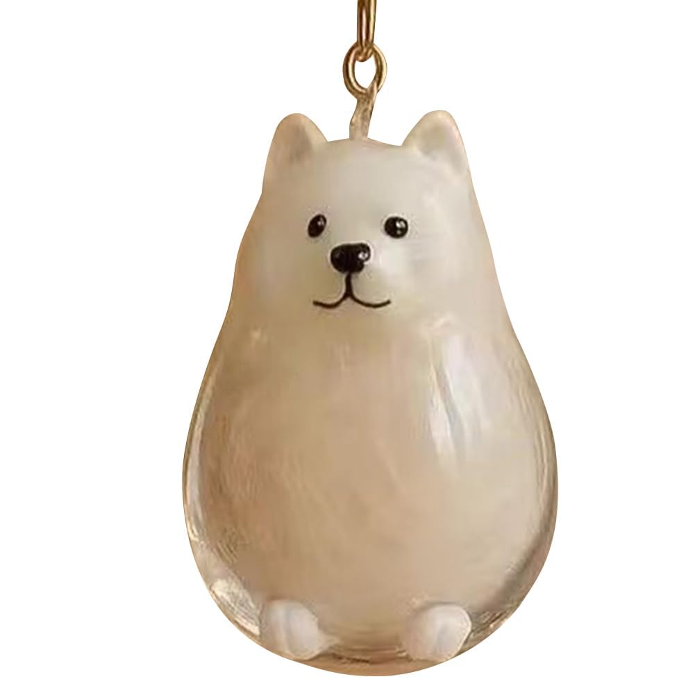 EHOTER Dog Hair Collector Keychain Charm Memorial Storage Box Pet Fur Dog Hair Keepsake Memory Capsule Key Chain Ornament Transparent Keepsake Keychain (E)