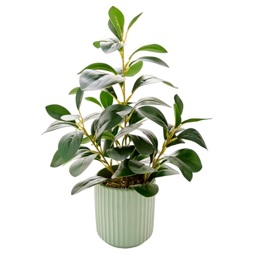 Ewtogift artificial ficus plant with striped leaves in modern planter