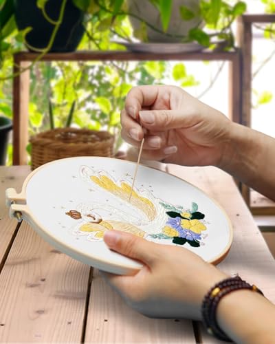 Image of TINDTOP 3 Pack Embroidery Kit for Adult Beginners, Embroidery DIY Starter Kit, with Swan Stamped Patterns, Hoop, Tools, Colorful Threads with Needles, Instructions | with Swan Stamped Patterns, Hoop, Tools, Colorful Threads with Needles, Instructions