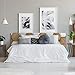 MEGADECOR Cabecero Cama PVC Decorativo Económico Diseño Abstracto Hexagono Madera Clara y Blanco Gris Varias Medidas (150 cm x 60 cm)