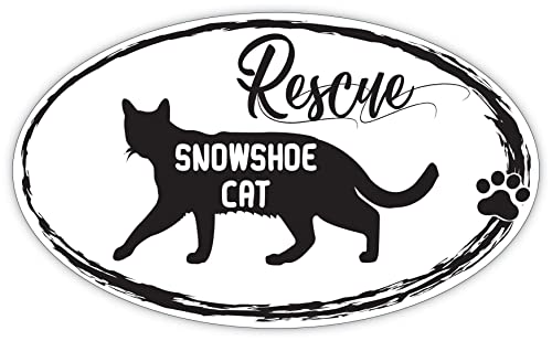 Makoroni - Rescue Snowshoe CAT Cats Pets Sticker - Car Laptop Wall Sticker Decal - 5