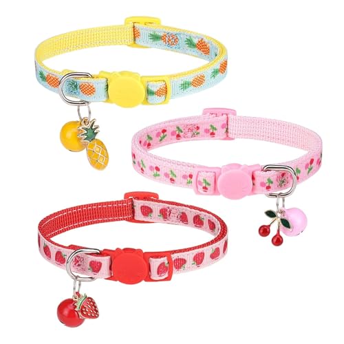 BINGPET L   Lp  lR Z[teB[obN S 3Zbg ߉\ L̎ qL y LփXgXt[   ybg 3F  L ^L ^L MtgɂœK ipCibvE`F[EXg