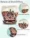 vensovo 5 Inch Ceramic Orchid Pots with Holes and Saucers - 1 Pcs Small Succulent Pot for Repotting, Garden Flowerpots for Plants Indoor and Outdoor Promotes Air Circulation, Brown Mixed