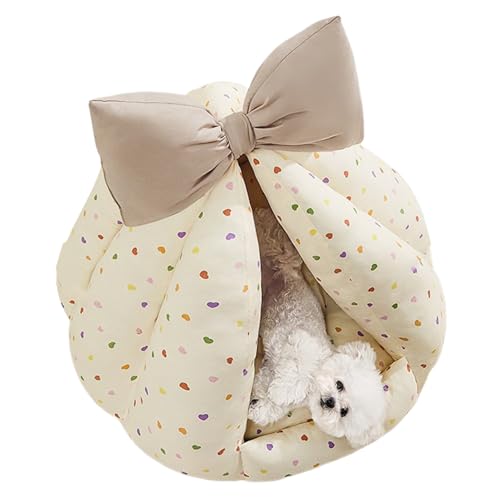 LpP[uxbh,_炩KȃvCx[g - pLnEX, O O ƒ s Q oRj[p