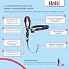 Collare a cavezza HALTI Optifit - Per impedire che il cane tiri il guinzaglio, regolabile con fascia per il muso imbottita. Collare anti-trazione per l’addestramento di cani grandi (Taglia L)