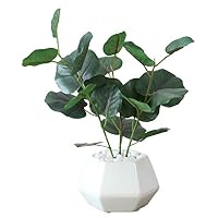 Amazon｜DORIS ドリス 人工高さ約107cm 簡単世話いらず 水やり不要