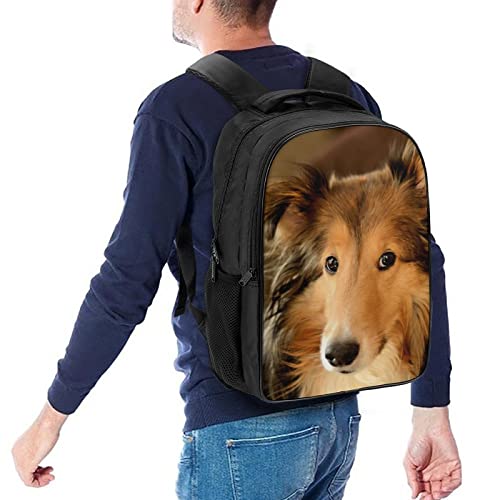 Cartable Collie Collie Cool : fini le mal de dos à l'école - 5
