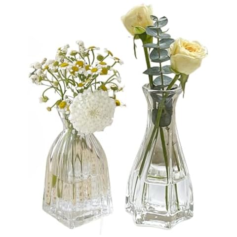 Set of 2 Small Clear Glass Vase,Embossed Glass Bud Vase Hydroponic Vase,Mini Table Vase Clear Flower Vase Decorative for Wedding Farmhouse Party Home Centerpieces Decor(Clear Grey) Cover