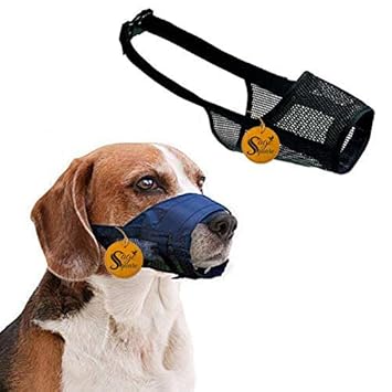 Sage Square Buckle Strap Strap Net Wire Muzzle, Mouth Cover, Basket Cage, Pet Safety Collar for Anti Biting Dog (Black) (Extra Small)