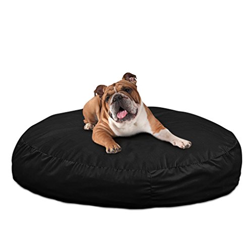 10 Cozy Bean Bag Beds for Dogs Hey, Djangles.
