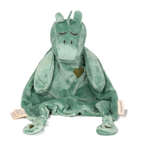 LOVE YOU ALL THE ROARS Schnorglesaurus Mini Plush Dinosaur Lovey