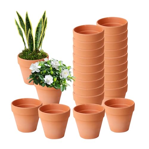Spetsbst 24 Stück Mini Tontopf Blumentopf 5.5x5 cm Kleine Blumentöpfe Tontöpfe Blumentöpfe zum Basteln für Kindergeburtstagsfeier/Taufgeschenke/Garten/DIY-Bastelaktivitäten