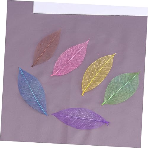 Amosfun 50 Unidades Plantas Artificiais Decorativas Folhas De Esqueleto Folhas De Recados Naturais F