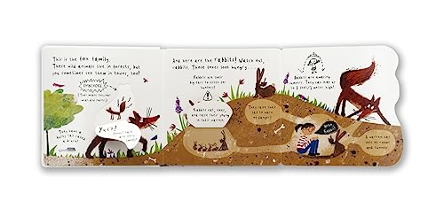 Hello, Bear!: (An Educational Lift-the-Flap Board Book for Toddlers, Preschoolers, and Kids Ages 2-5 to Learn Fun Facts About Forest Animals) (Animal Facts and Flaps)