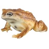 Juguetes educativos, estatuilla de sapo Figuras de animales de sapo y rana simuladas realistas para niños Modelo de animal educativo para cumpleaños, regalos de fiesta y proyectos científicos