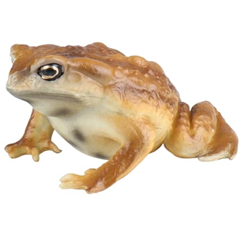 Lawnrden - Lawnrden Jouets éducatifs, Figurine de Crapaud réaliste, Figurines d'animaux de Grenouille et Crapaud pour Enfants, modèle Animal éducatif pour Anniversaire, Cadeaux fête et projets scientifiques