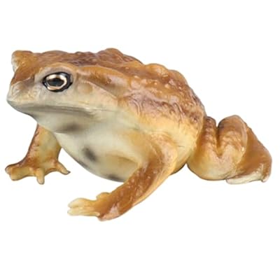 Juguetes educativos, estatuilla de sapo Figuras de animales de sapo y rana simuladas realistas para niños Modelo de animal educativo para cumpleaños, regalos de fiesta y proyectos científicos | Ya disponible en tu tienda friki favorita! En mundofriki.es! Juguetes educativos, estatuilla de sapo Figuras de animales de sapo y rana simuladas realistas para niños Modelo de animal educativo para cumpleaños, regalos de fiesta y proyectos científicos | Ya disponible en tu tienda friki favorita! En mundofriki.es!