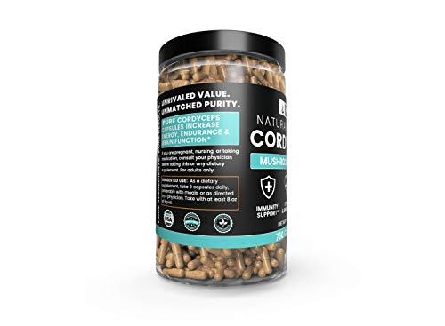 Pure Cordyceps (730 Capsules) 100% Natural, Non-GMO & Gluten-Free (1350 mg Serving)