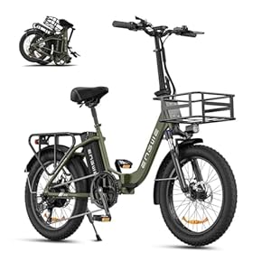 ENGWE L20 SE elektrische fiets voor volwassenen, 250 W, opvouwbare e-bike, 36 V, 15,6 Ah, verwijderbare batterij, 20″ x 3,0 elektrische fiets met dikke banden