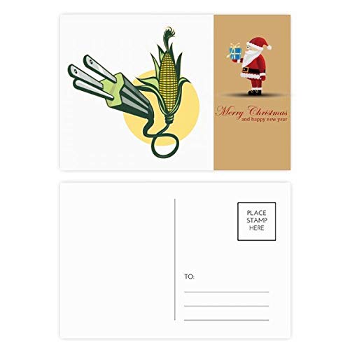 Fiches de maïs en lot de 20 cartes postales pour l'organisation de vos recettes