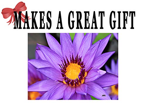 Flower Purple Water Lily Kitchen Glass Cutting Board Decorative Gift For Mom Lilies Floral Design #TOP3