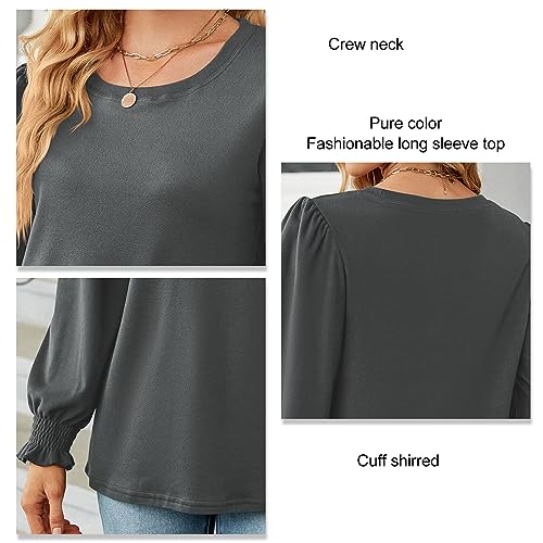 Blusa feminina de manga comprida casual com manga lanterna, blusa casual outono inverno, Cinza escur